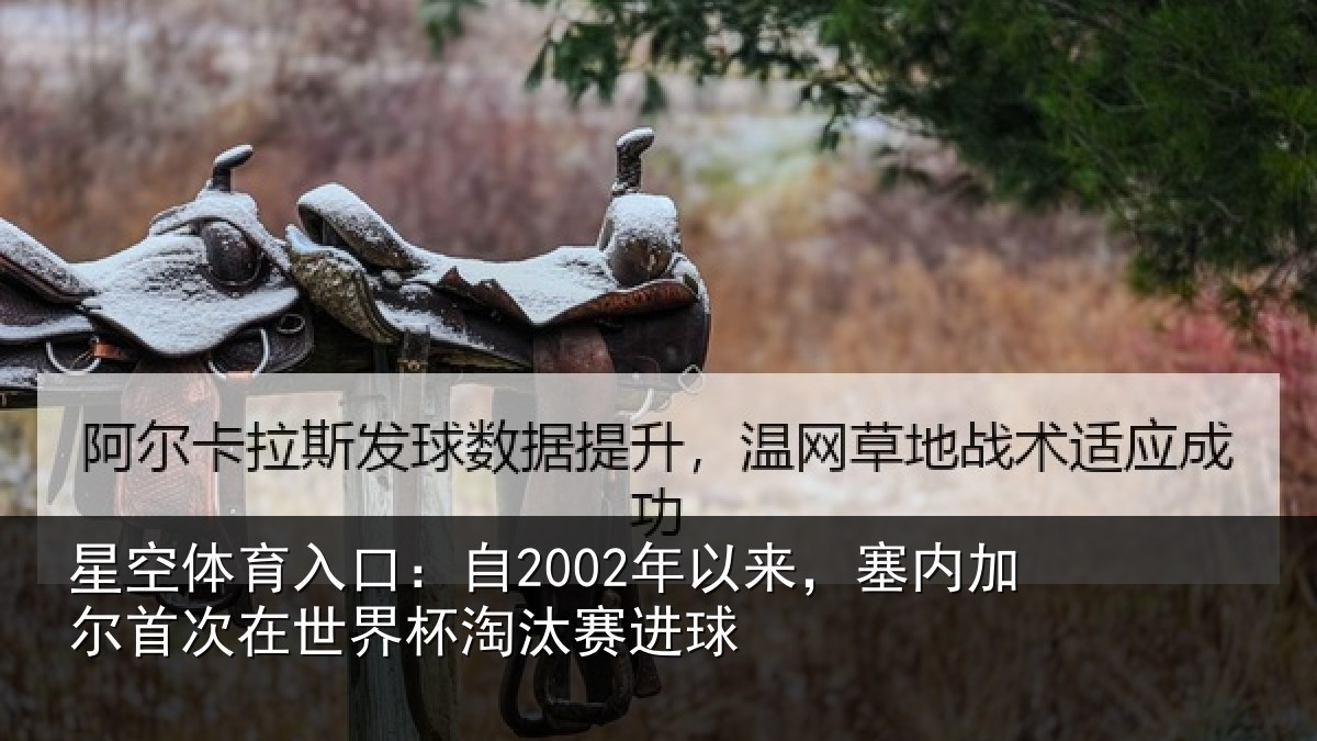 星空体育入口:自年相关情况在世界杯淘汰赛进球