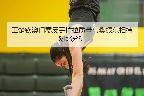 王楚钦澳门赛反手拧拉质量与樊振东相持对比分析
